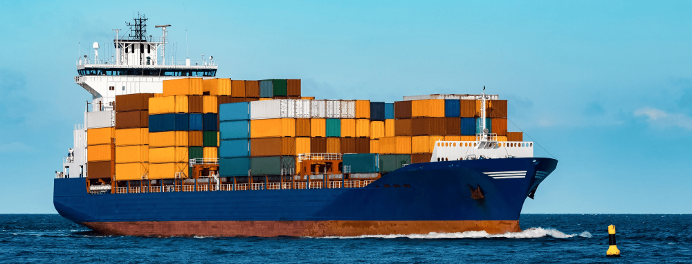 «Желтая линия» в центре Петербурга: рост пассажиропотока на 41% и новые маршруты на Неве"