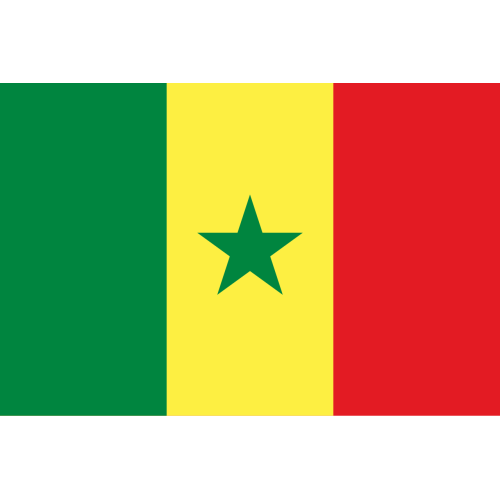 Флаг Сенегала купить в Южно-Сахалинске с доставкой