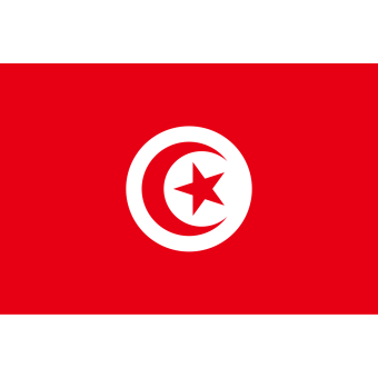 Флаг Туниса