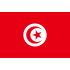 Флаг Туниса купить в Южно-Сахалинске с доставкой